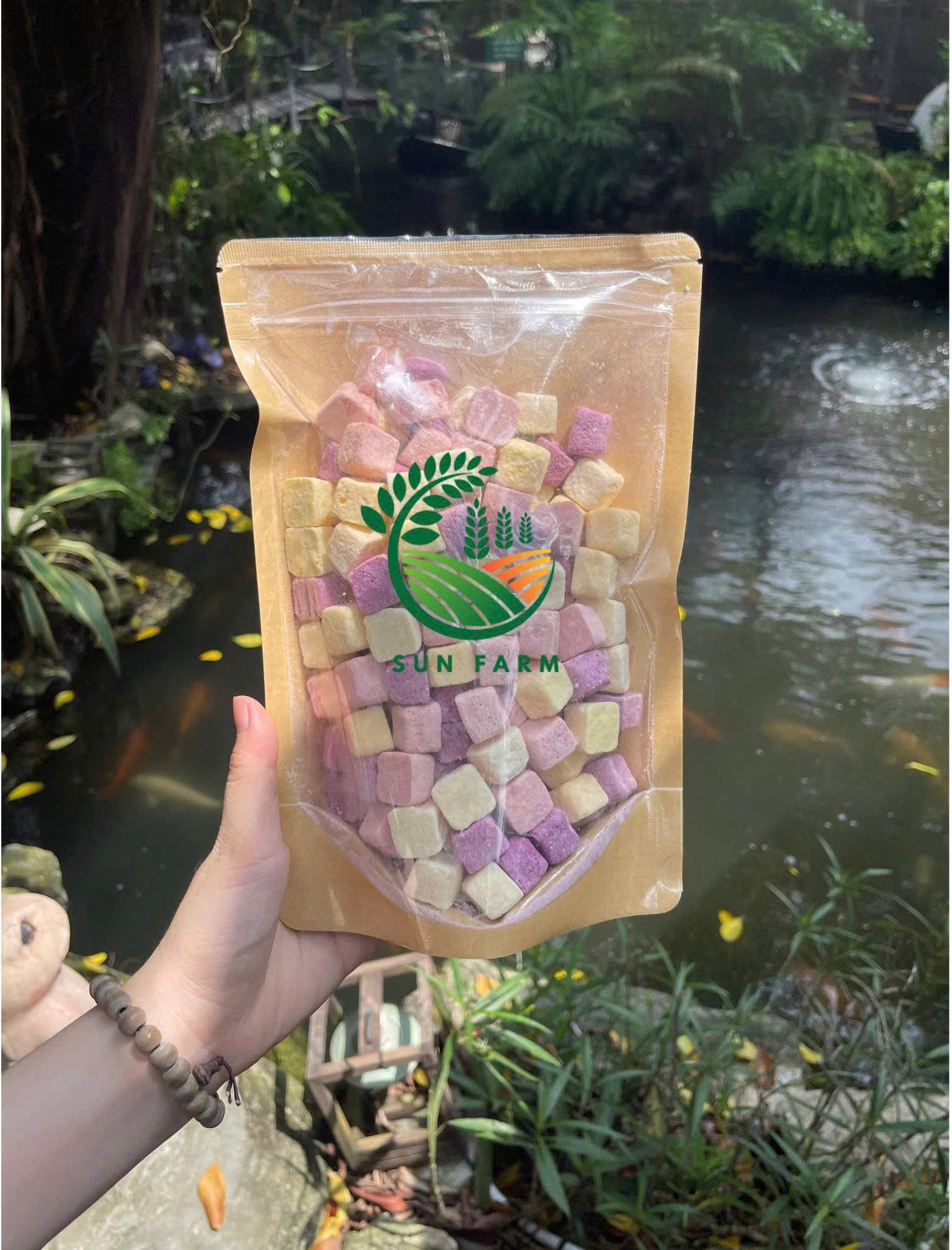 Sữa chua sấy SunFarm