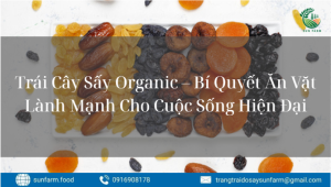 Trái Cây Sấy Organic