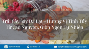 Trái Cây Sấy Đà Lạt