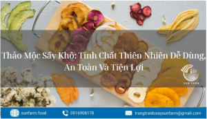 Thảo Mộc Sấy
