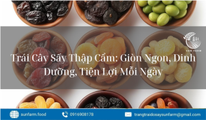 Trái Cây Sấy Giòn